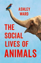 The Social Lives Of Animals